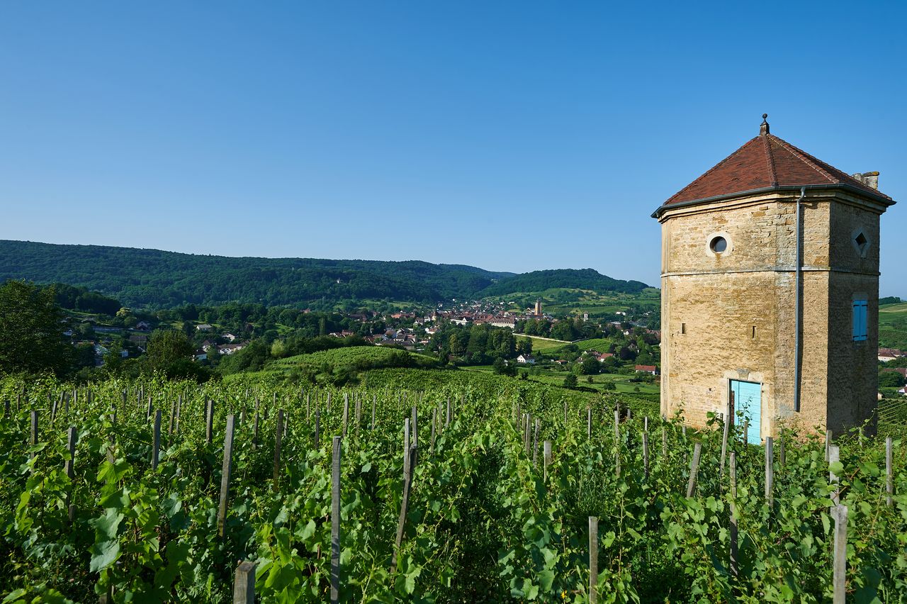 Communes Arbois Tour de Curon BI-0323